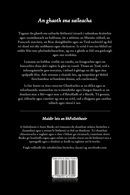 Back cover of a book with text in Irish on a black background